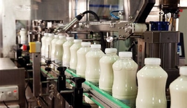 Süt Üreticisine Devlet Desteği Verilecek